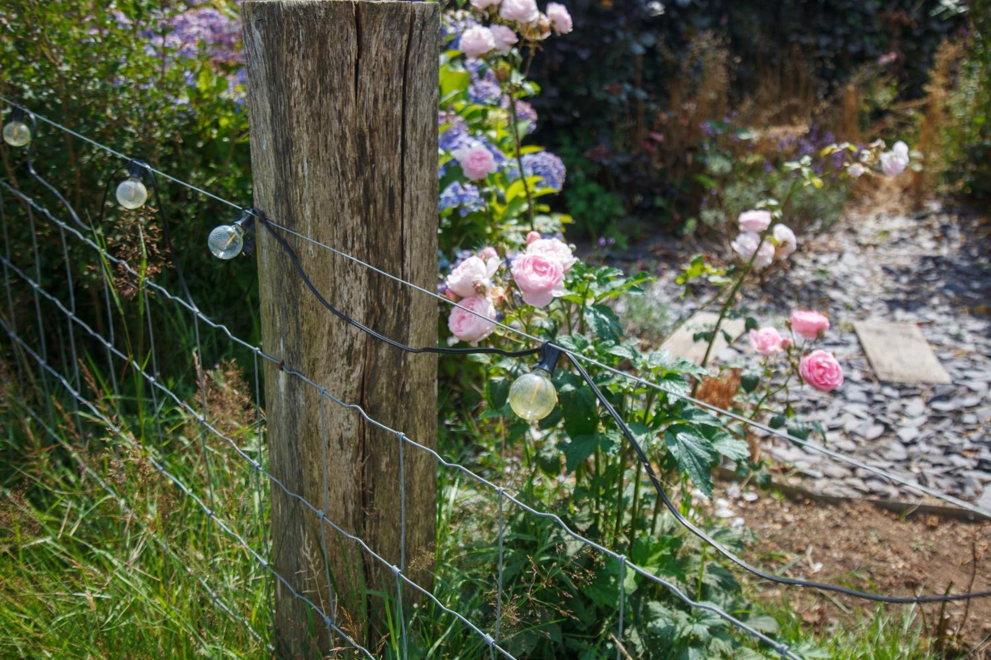 טרורו Luxury Glamping Cabin With Outdoor Bath On Cornish Flower Farm מראה חיצוני תמונה